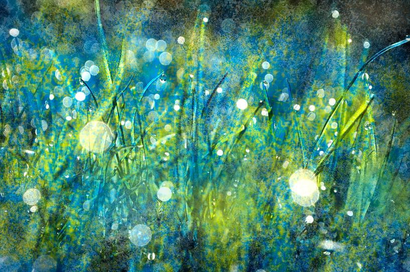 Wandernde Lichter von Corinne Welp