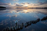 Sunrise Nature area Botshol Vinkeveen