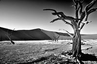 Deadvlei Namibia