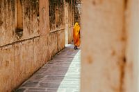 Mystical India / Woman in yellow garments