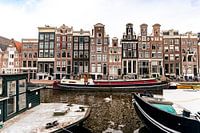 Grachtenpracht in Amsterdam mit Elegant Swan