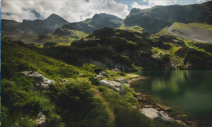 Landschaft von Salsa art