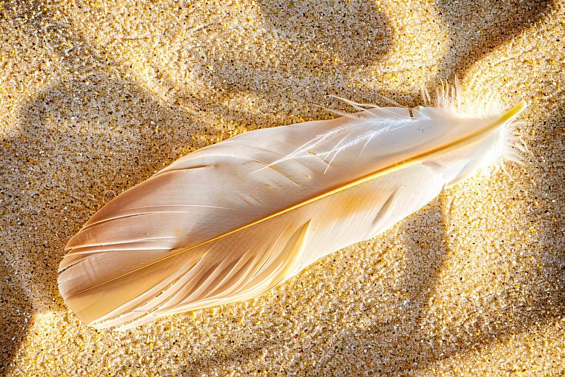 White spring on sandy beach by Art & Soul Creations