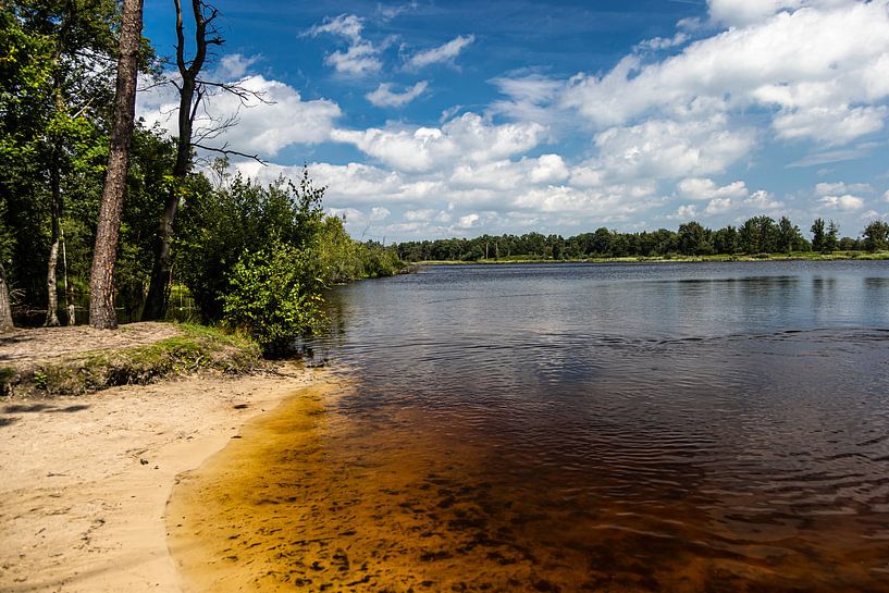 Belversven Oisterwijk by Carin IJpelaar