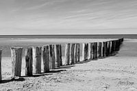 Strandpalen op Schouwen