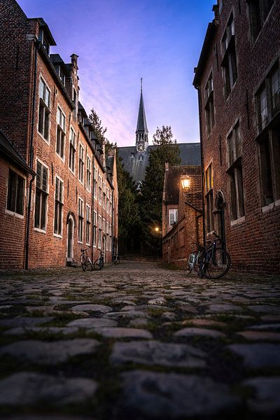Great Beguinage, Leuven (1) by Luc van der Krabben