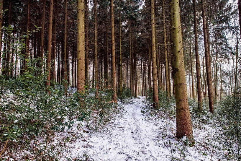 Vijlenerbos von Rob Boon