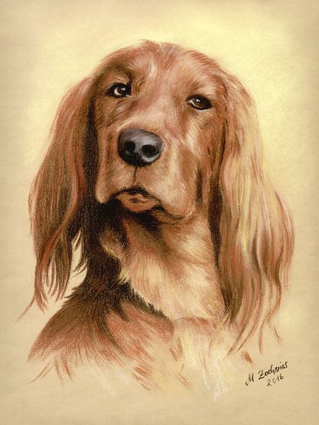 Jagdhund Portrait von Marita Zacharias