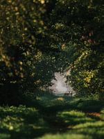 Going to another dimension