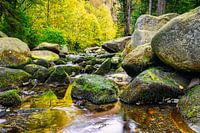 Autumn landscape with the Oker river and Engagement island in th
