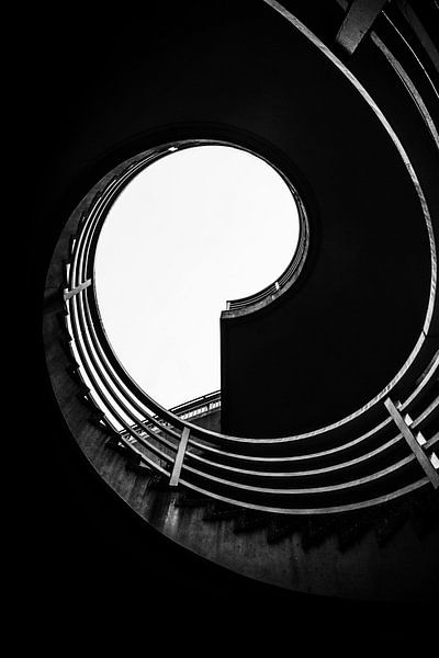 Fibonacci's Final Note van Cho Tang