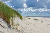 Ameland : Vue de la mer depuis la transition des dunes avec le ciel menaçant