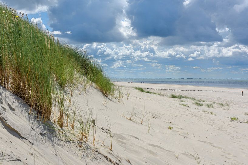 Ameland : Vue de la mer depuis la transition des dunes avec le ciel menaçant par Walter Frisart