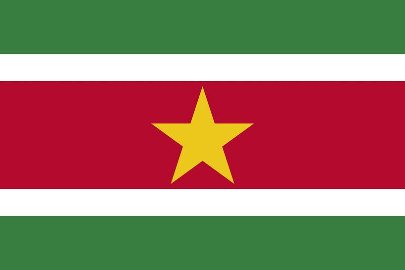 Flag of Suriname by de-nue-pic