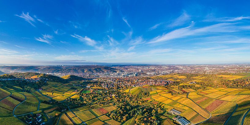 Vue aérienne panorama des vignobles de Stuttgart par Werner Dieterich
