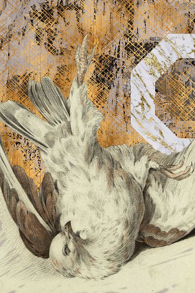 Dead pigeon by Jadzia Klimkiewicz