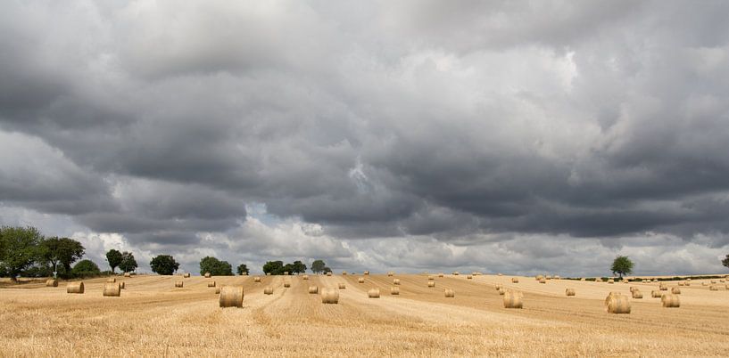 Rollen von Stroh von Ooks Doggenaar