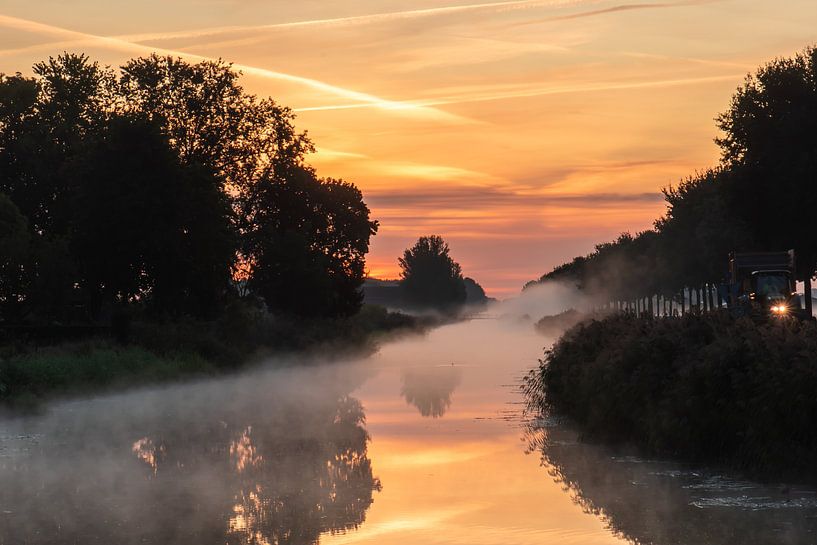 golden Linge by Tania Perneel