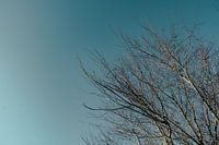 Réserve naturelle Oeffelt