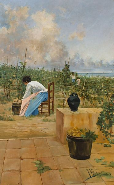 Joaquim de Miró y Argenter - Récolte de la Malvoisie par finemasterpiece