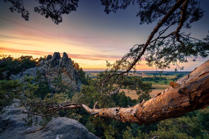 Harz Landschaft von Voss Fine Art Fotografie