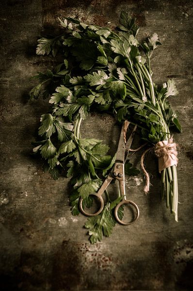 Keukenkunst - Kitchen art - Küchenkunst -  Art de la cuisine von Kitty Stevens