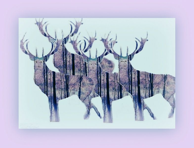 Spectacle de cerfs par Vera Laake