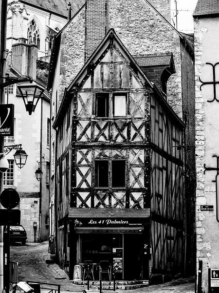 LES 41 PALMIERS by JORG BECKER