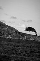 Royaume-Uni | Seven sisters country park