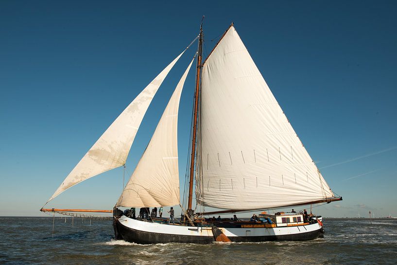 Sailboat in the wind by Barbara Koppe