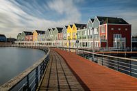 Colored houses at the Rietplas Houten