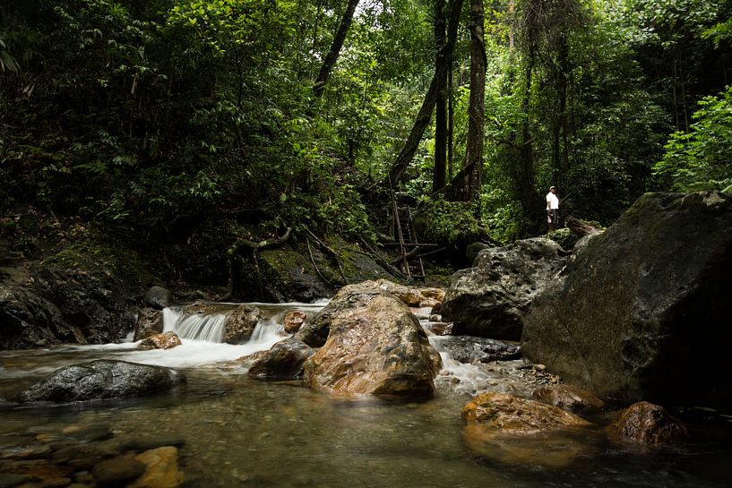 Ambon - Wasserfall von Maurice Weststrate