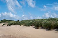Le vent dans les dunes et les herbes de la plage de Cadzand-bad.