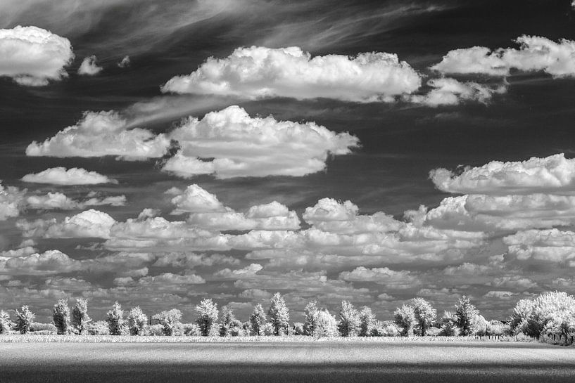Maasheggen landscape with clouds near Boxmeer by Hans Vos Fotografie