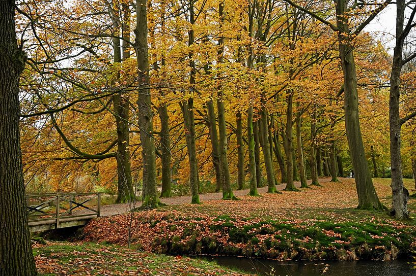 Feurige Bäume. von Vrije Vlinder Fotografie