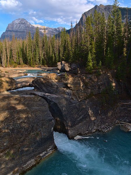 Yoho National Park by Timon Schneider