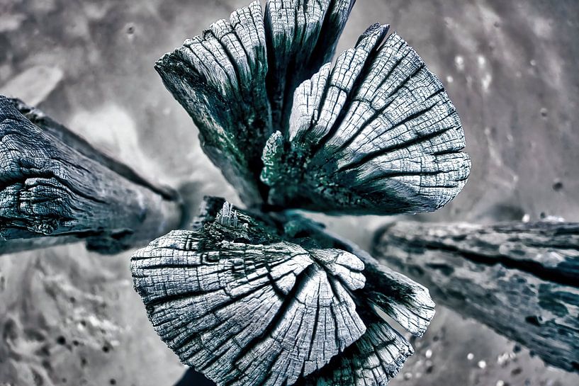 La réalité fractionnée par Evert Jan Looise