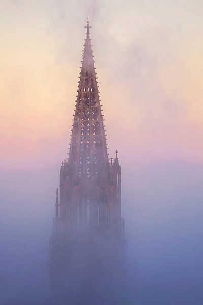Freiburger Münster von Patrick Lohmüller