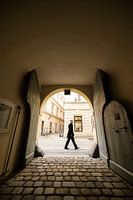 Middagwandeling in Wenen