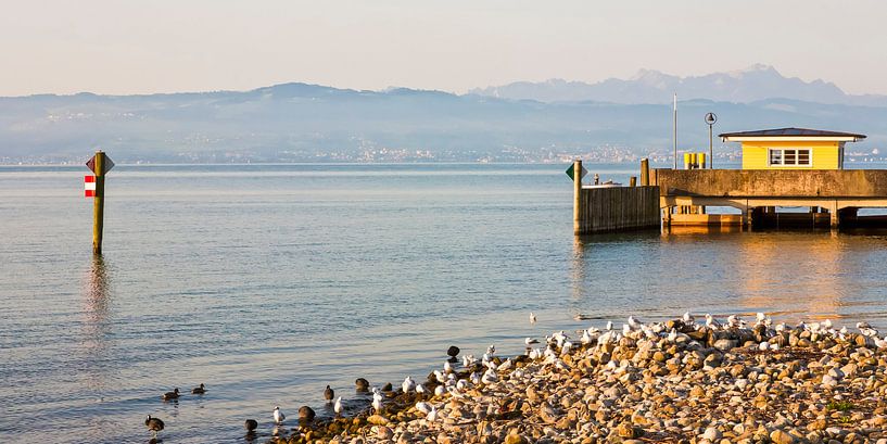 Langenargen am Bodensee von Werner Dieterich
