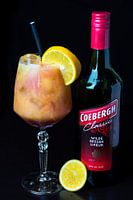 Cocktail Bacardi avec menthe et citron vert comme garniture