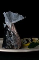 Poisson caillebotis | partie 1