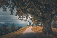 S'accrocher à son rêve