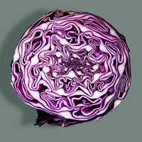SSU-186 Red cabbage