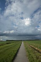 Bicycle path in the meadows