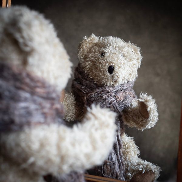 Bär im Spiegel von Mariette Kranenburg