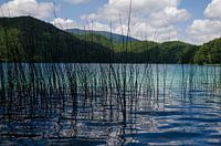 Plitvicemeer Kroatie