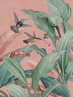 Vintage hummingbirds and tropical jungle leaves and exotic flowers pink