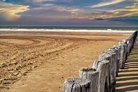 Les brise-lames, les sentinelles de la plage