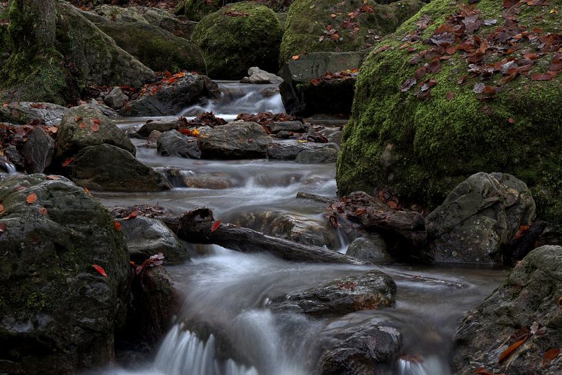 Felsen mit Blättern in einem Fluss mit Wasserfall in den belgischen Ardennen von Cor Brugman